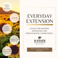 Everyday Extension